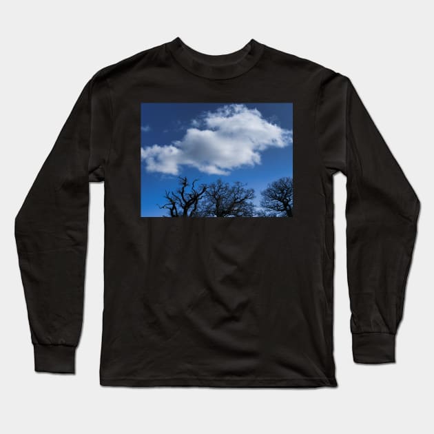 Blue Skies With Clouds And Winter Trees Without Leaves Long Sleeve T-Shirt by fantastic-designs